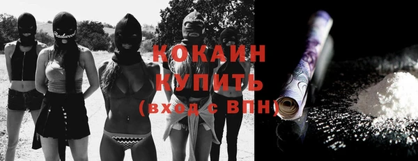 стафф Алзамай