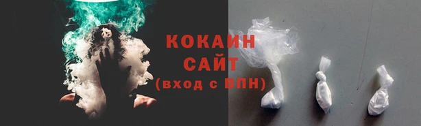 стафф Алзамай